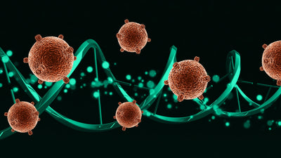 Are Plastics Secretly Destroying Our Hormones? Dr. Robert Lustig Reveals the Shocking Truth About Endocrine Disruptors and Their Impact on Your Health.