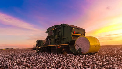 Cotton Nonwovens: A Sustainable Material for a Green Future