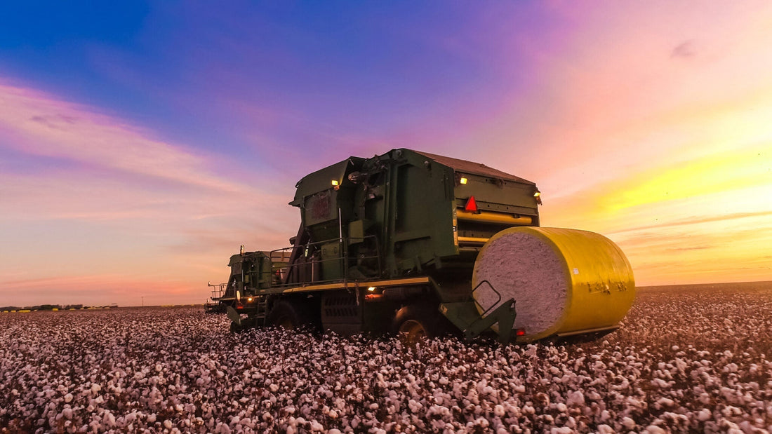 Cotton Nonwovens: A Sustainable Material for a Green Future