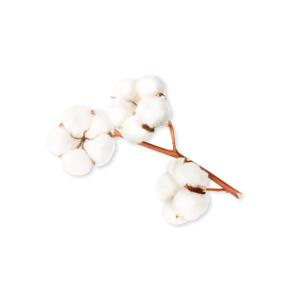 Can I use size 1 diapers for a newborn?