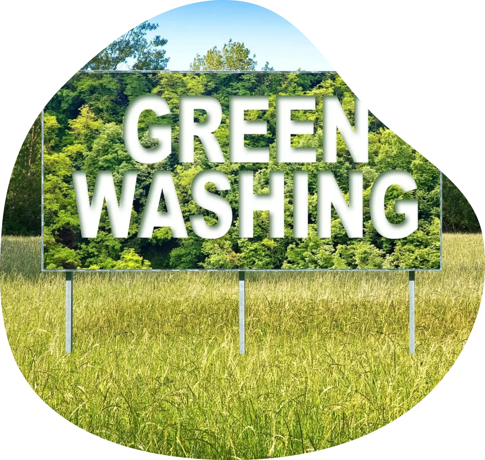 Are any disposable diapers biodegradable?