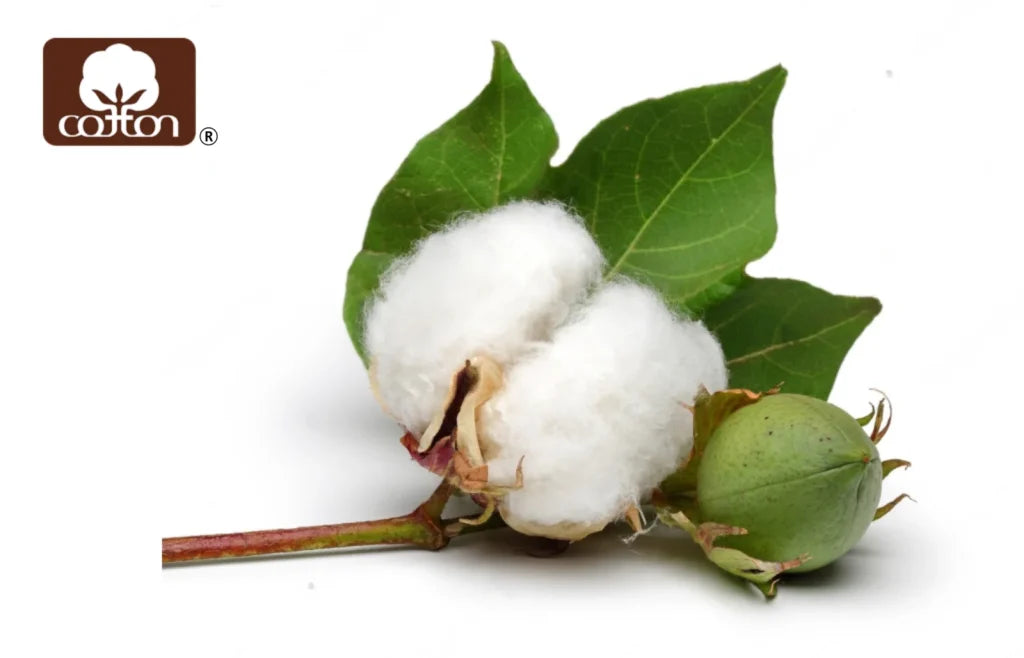 Disposable Cotton Diapers Naturally Soft, Doctor-Recommended Skin Protection by Cottonsie®